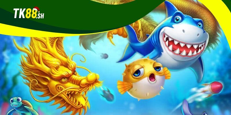 Mẹo tiết kiệm xu nhưng vẫn săn được nhiều cá lớn