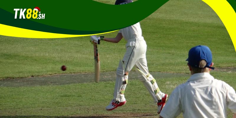 Kèo bóng chày MLB TK88 với những nhận định chuẩn xác