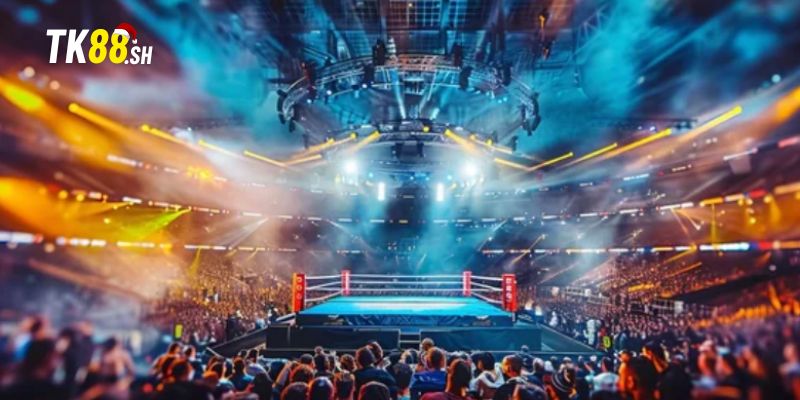Hướng dẫn tân thủ tham gia kèo knock-out quyền anh
